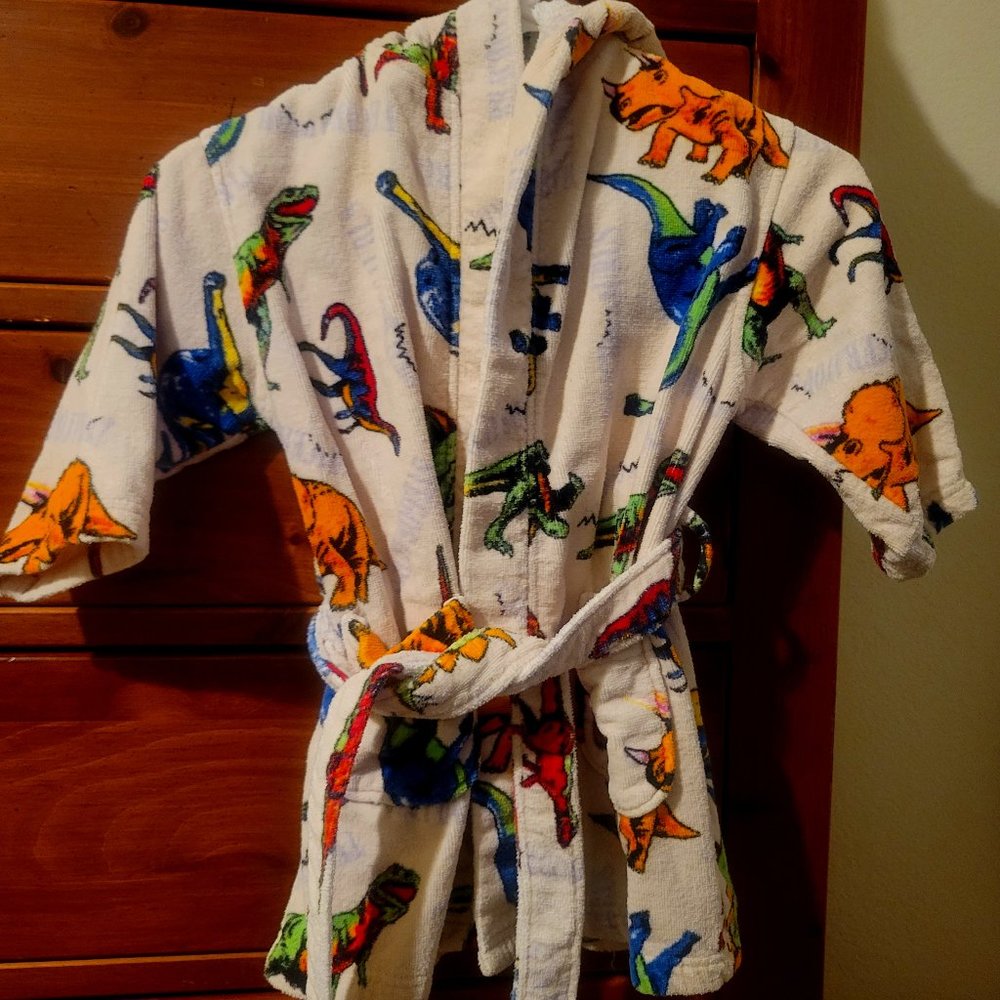 Boy's Dinosaur Bathrobe by Bullfrogs & Butterflys For Kids, Size Medium